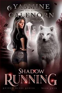 Shadow Running