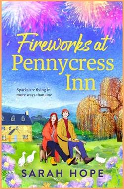 Fireworks at Pennycress Inn
