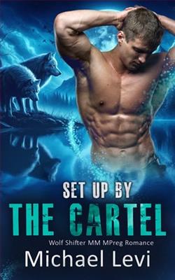 Set Up By the Cartel
