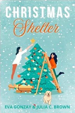Christmas Shelter