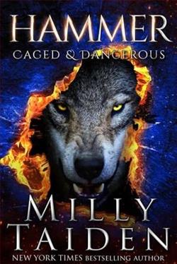 Hammer by Milly Taiden