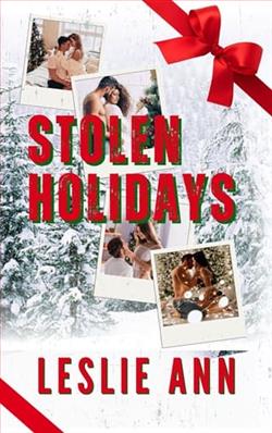 Stolen Holidays by Leslie Ann