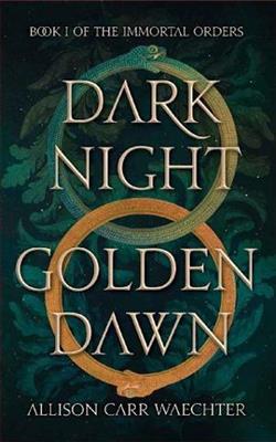 Dark Night Golden Dawn by Allison Carr Waechter