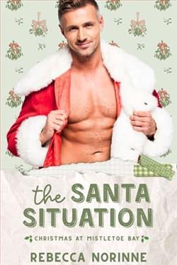 The Santa Situation by Rebecca Norinne