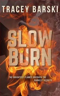 Slow Burn by Tracey Barski