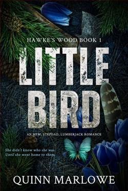 Little Bird by Quinn Marlowe