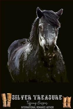 Silver Treasure by Tiffany Casper