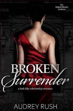 Broken Surrender by Audrey Rush