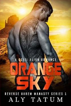 Orange Sky by Aly Tatum