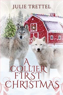 A Collier First Christmas by Julie Trettel