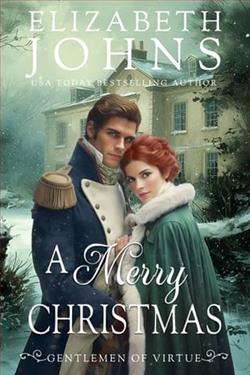 A Merry Christmas by Elizabeth Johns