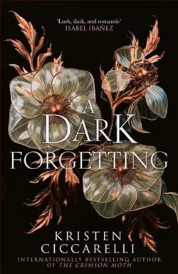 A Dark Forgetting by Kristen Ciccarelli