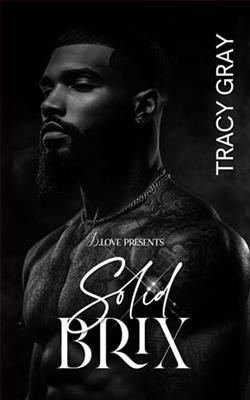 Solid Brix by Tracy Gray