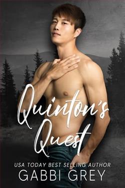 Quinton's Quest by Gabbi Grey