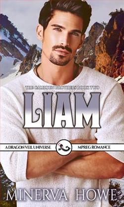 Liam by Minerva Howe