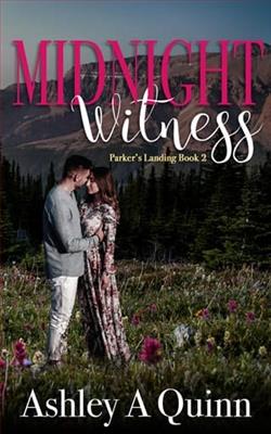 Midnight Witness by Ashley A Quinn