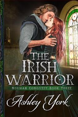 The Irish Warrior by Ashley York