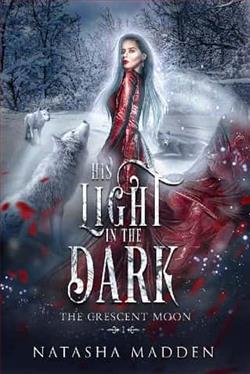 His Light in the Dark by Natasha Madden