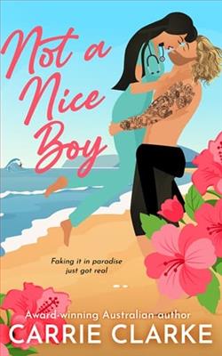 Not a Nice Boy by Carrie Clarke