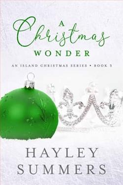 A Christmas Wonder 3 by Hayley Summers