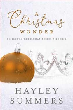 A Christmas Wonder 4 by Hayley Summers
