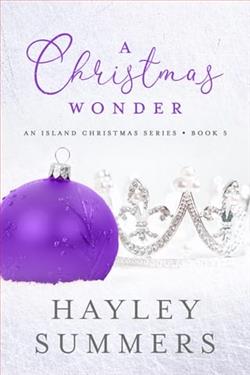 A Christmas Wonder 5 by Hayley Summers