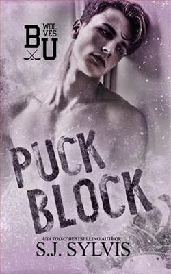 Puck Block by S.J. Sylvis