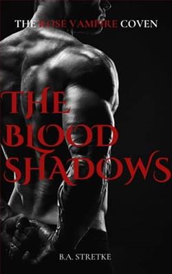 The Blood Shadows by B.A. Stretke