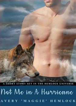 Not Me in A Hurricane by Avery Maggie Hemlock