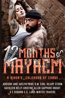 12 Months of Mayhem by Winter Travers