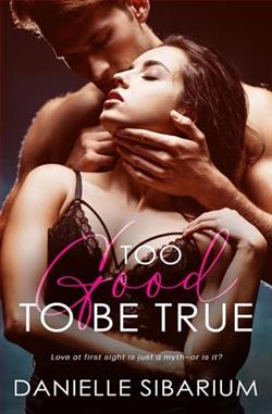 Too Good to be True by Danielle Sibarium