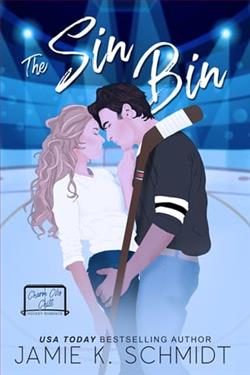 The Sin Bin by Jamie K. Schmidt