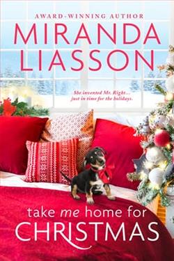 Take Me Home for Christmas by Miranda Liasson