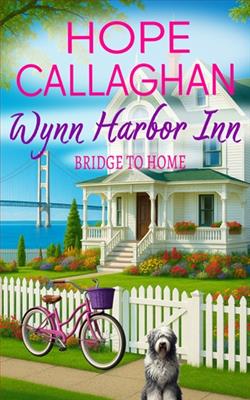 Bridge to Home by Hope Callaghan