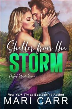 Shelter from the Storm by Mari Carr