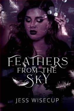 Feathers From the Sky by Jess Wisecup