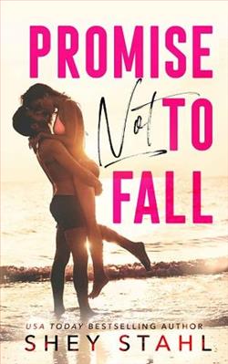 Promise Not To Fall by Shey Stahl