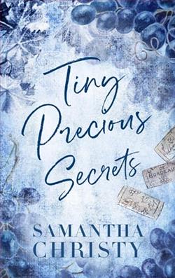 Tiny Precious Secrets by Samantha Christy