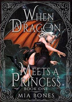 When a Dragon Meets a Princess by Mia Bones