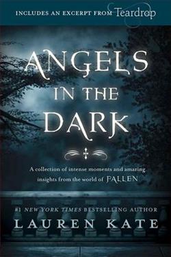 Angels in the Dark by Lauren Kate