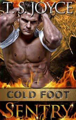 Cold Foot Sentry by T.S. Joyce