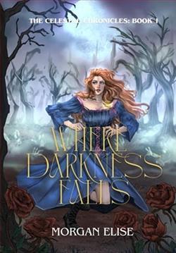 Where Darkness Falls by Morgan Elise