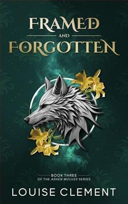 Framed and Forgotten by Louise Clement