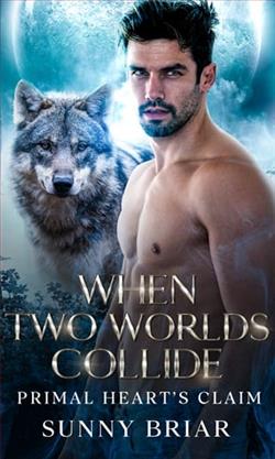 When Two Worlds Collide by Sunny Briar