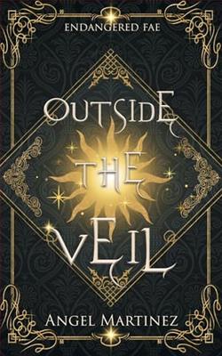 Outside the Veil by Angel Martinez