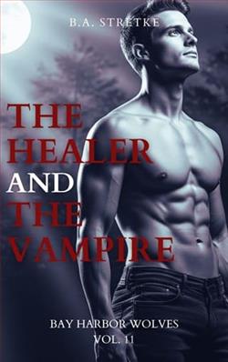 The Healer and the Vampire by B.A. Stretke