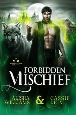 Forbidden Mischief by Cassie Lein