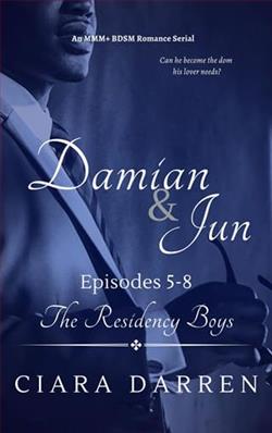 Damian & Jun: Episodes 5-8 by Ciara Darren