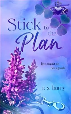 Stick to the Plan by R.S. Barry