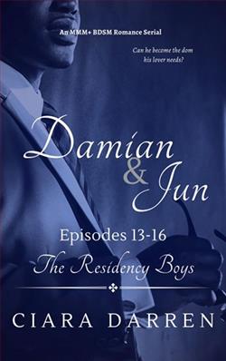 Damian & Jun, Episodes 13-16 by Ciara Darren